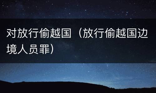 对放行偷越国（放行偷越国边境人员罪）