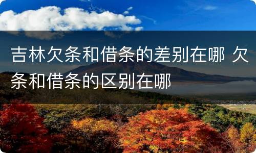 吉林欠条和借条的差别在哪 欠条和借条的区别在哪