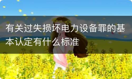 有关过失损坏电力设备罪的基本认定有什么标准