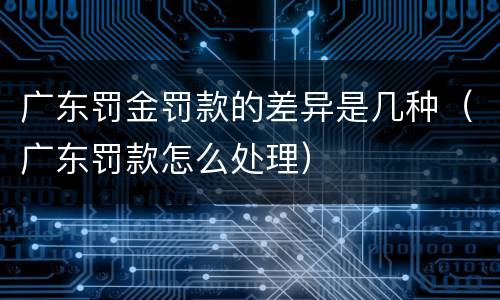 广东罚金罚款的差异是几种（广东罚款怎么处理）