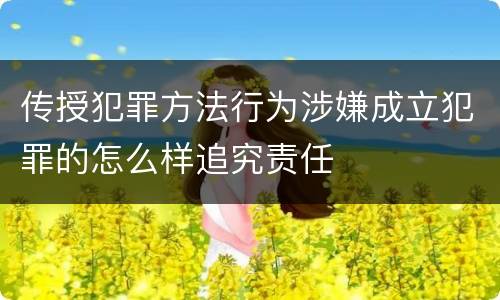 传授犯罪方法行为涉嫌成立犯罪的怎么样追究责任