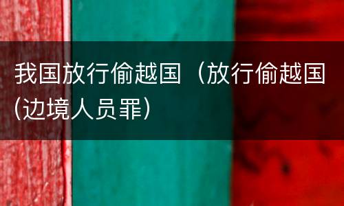 我国放行偷越国（放行偷越国(边境人员罪）