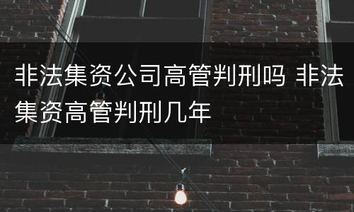 非法集资公司高管判刑吗 非法集资高管判刑几年