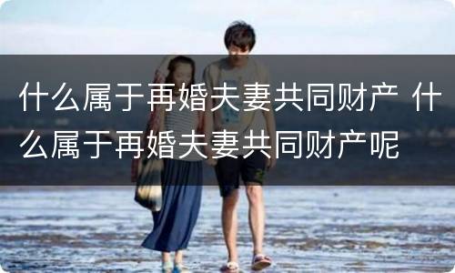 什么属于再婚夫妻共同财产 什么属于再婚夫妻共同财产呢