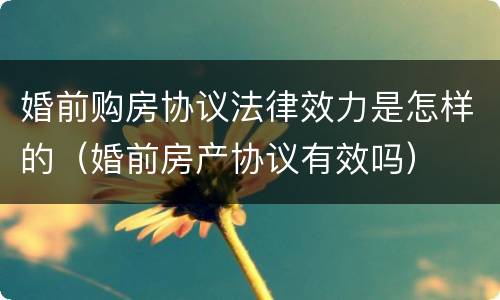 婚前购房协议法律效力是怎样的（婚前房产协议有效吗）