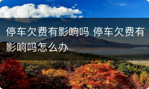 停车欠费有影响吗 停车欠费有影响吗怎么办