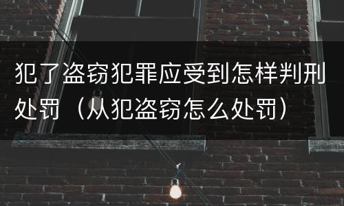 犯了盗窃犯罪应受到怎样判刑处罚（从犯盗窃怎么处罚）