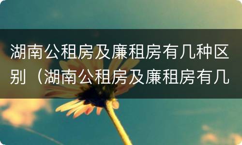湖南公租房及廉租房有几种区别（湖南公租房及廉租房有几种区别图）