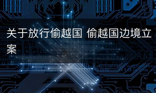 关于放行偷越国 偷越国边境立案