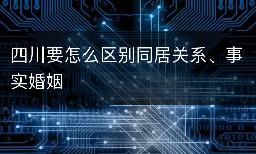 四川要怎么区别同居关系、事实婚姻