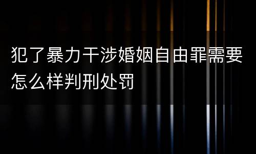 犯了暴力干涉婚姻自由罪需要怎么样判刑处罚