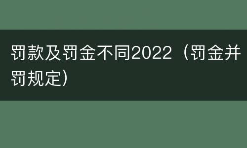 罚款及罚金不同2022（罚金并罚规定）