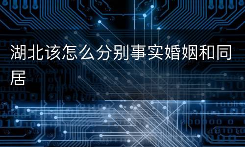 湖北该怎么分别事实婚姻和同居