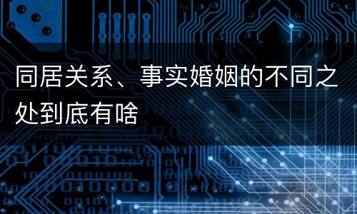 同居关系、事实婚姻的不同之处到底有啥