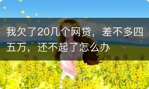 我欠了20几个网贷，差不多四五万，还不起了怎么办