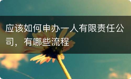 应该如何申办一人有限责任公司，有哪些流程