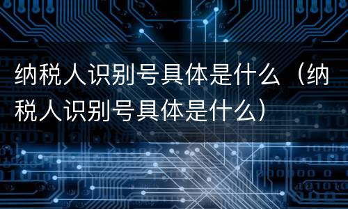 纳税人识别号具体是什么（纳税人识别号具体是什么）