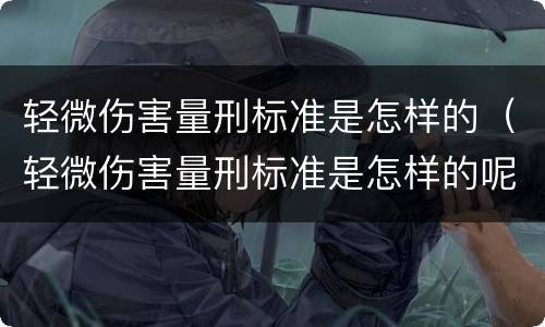 轻微伤害量刑标准是怎样的（轻微伤害量刑标准是怎样的呢）