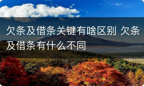 欠条及借条关键有啥区别 欠条及借条有什么不同