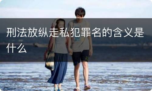 刑法放纵走私犯罪名的含义是什么