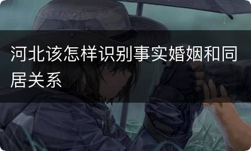 河北该怎样识别事实婚姻和同居关系