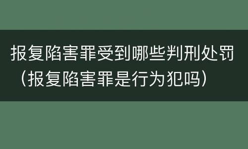 报复陷害罪受到哪些判刑处罚（报复陷害罪是行为犯吗）