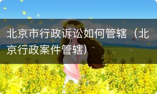 北京市行政诉讼如何管辖（北京行政案件管辖）