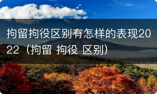 拘留拘役区别有怎样的表现2022（拘留 拘役 区别）