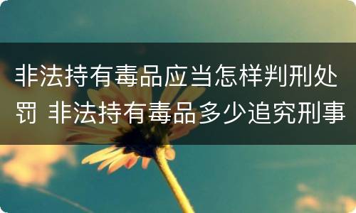 非法持有毒品应当怎样判刑处罚 非法持有毒品多少追究刑事责任