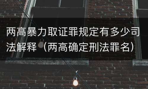两高暴力取证罪规定有多少司法解释（两高确定刑法罪名）