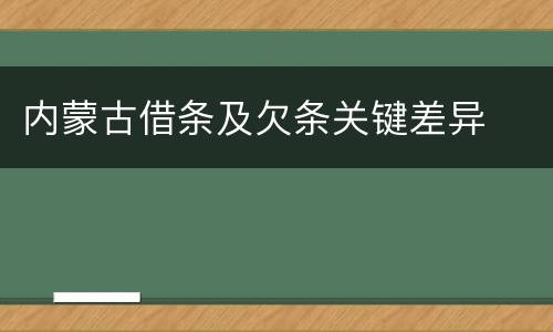 内蒙古借条及欠条关键差异