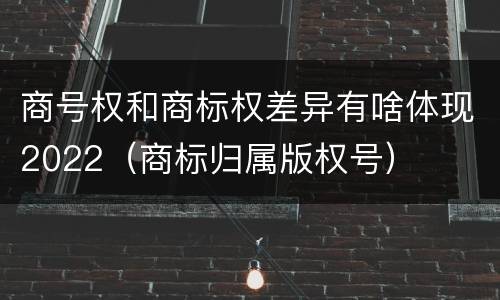 商号权和商标权差异有啥体现2022（商标归属版权号）