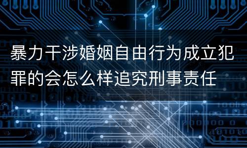 暴力干涉婚姻自由行为成立犯罪的会怎么样追究刑事责任