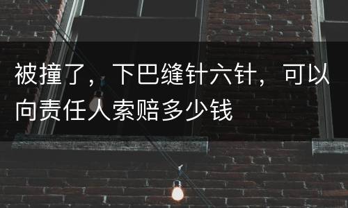被撞了，下巴缝针六针，可以向责任人索赔多少钱