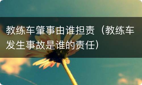 教练车肇事由谁担责（教练车发生事故是谁的责任）