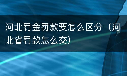 河北罚金罚款要怎么区分（河北省罚款怎么交）