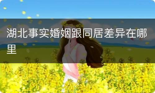 湖北事实婚姻跟同居差异在哪里