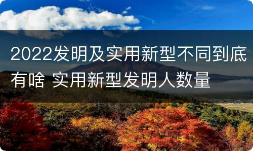 2022发明及实用新型不同到底有啥 实用新型发明人数量