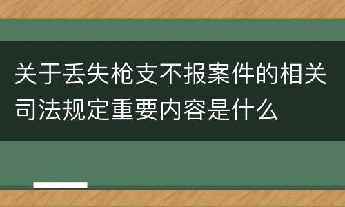 关于丢失枪支不报案件的相关司法规定重要内容是什么