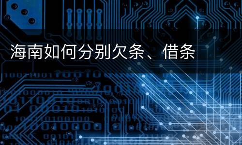 海南如何分别欠条、借条