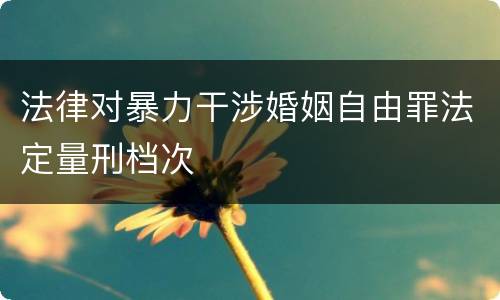 法律对暴力干涉婚姻自由罪法定量刑档次