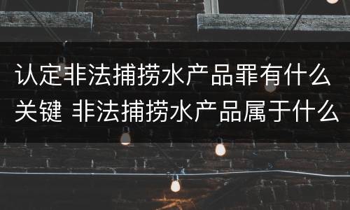 认定非法捕捞水产品罪有什么关键 非法捕捞水产品属于什么罪