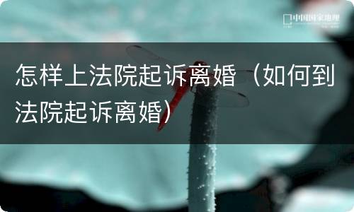 怎样上法院起诉离婚（如何到法院起诉离婚）