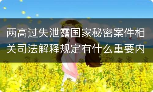 两高过失泄露国家秘密案件相关司法解释规定有什么重要内容