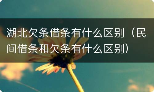 湖北欠条借条有什么区别（民间借条和欠条有什么区别）