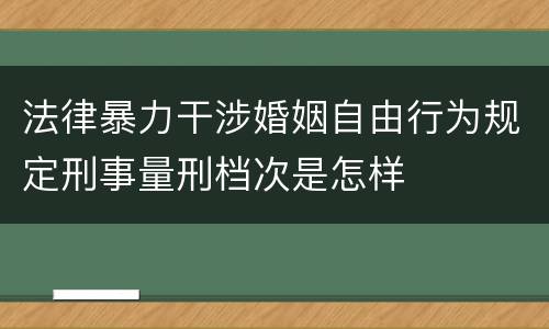 法律暴力干涉婚姻自由行为规定刑事量刑档次是怎样