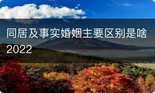 同居及事实婚姻主要区别是啥2022