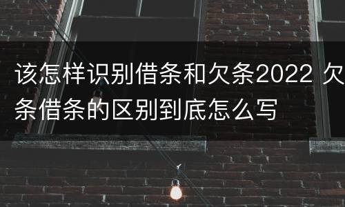 该怎样识别借条和欠条2022 欠条借条的区别到底怎么写