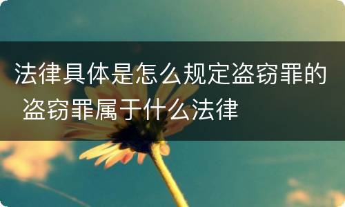 法律具体是怎么规定盗窃罪的 盗窃罪属于什么法律