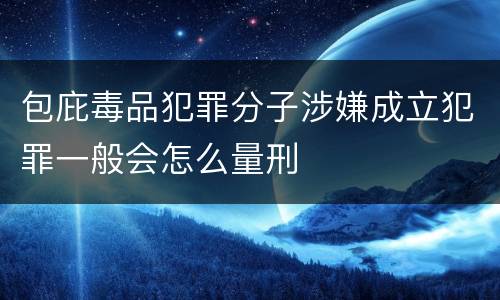 包庇毒品犯罪分子涉嫌成立犯罪一般会怎么量刑